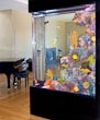 salt water fish tank
